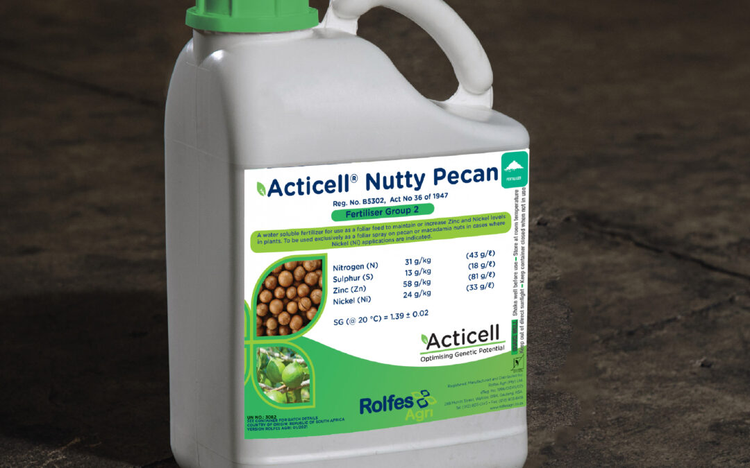 Acticell Nutty Pecan