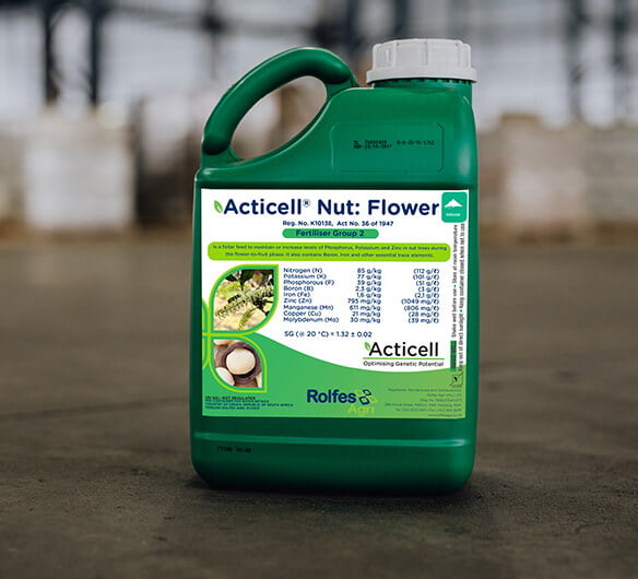 Acticell Nut: Flower